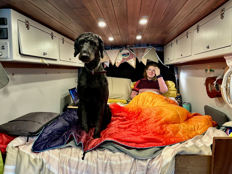 The bed in use
